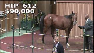 Irap as a Keeneland September Yearling