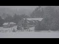 ambiance de tempête de neige avec hurlements glaciaux bruit de neige pour dormir et se détendre.