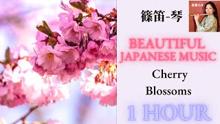 Beautiful Japanese Music: Cherry Blossoms