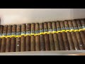 cohiba short humidor