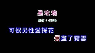 (伴奏版)李翊君-黑玫瑰(DIY卡拉OK字幕)