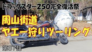 【モトブログ#37】周山街道ヤエー狩りツーリング【Drag Star250】