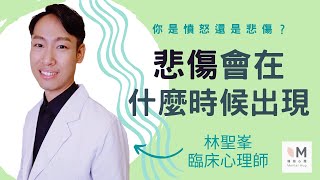 「悲傷」會在什麼時候出現？｜你是憤怒還是悲傷 5-3｜#林聖峯臨床心理師 #擁抱心理諮商所