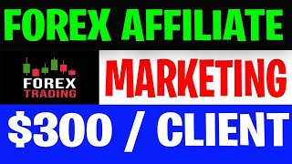 How to Become Successful in the Forex Affiliate Niche