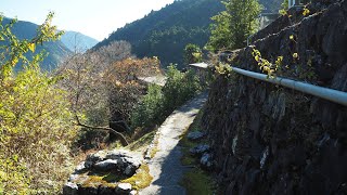 大滝ダム山上の廃村集落【限界集落・廃墟】(奈良県川上村寺尾)Kawakami, Nara Japan