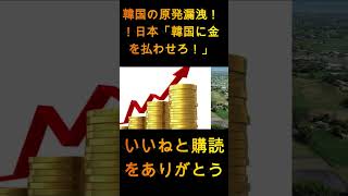 韓国の原発漏れ!! 日本「韓国に賠償させろ！」韓国ってバカだなw【ゆっくり解説】... 1