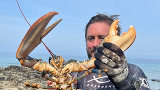 Underwater Foraging for Spider Crabs & Giant Lobster | Campfire Catch & Cook on the Beach