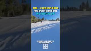 美国一只黑熊闯进滑雪场 横穿雪道时撞到滑雪者 事后消失在树丛里