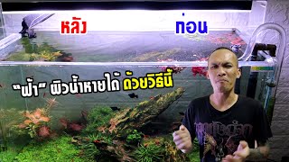 วิธีแก้ปัญหาฝ้าผิวน้ำ ปลอดภัยได้ผลแน่นอน | ชาวร็อคบอกไม้น้ำ