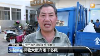 【2015.11.06】水試所烏魚殼便宜賣 金門人搶購 -udn tv