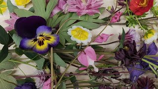 About Pressing Columbine, Bleeding Heart, Geum, Pansy, Poach Egg and Buttercup | Pressed Flowers