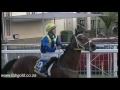 20150802 greyville race 8 won by angelus bell