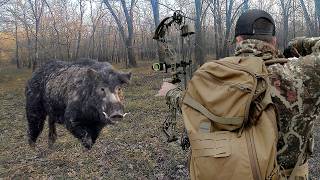 “HE’S COMING RIGHT AT YA!” | Bow Hunting Wild Hogs From The Ground