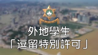 高等院校學生(非來自中國內地)申辦「逗留特別許可」流程 導言