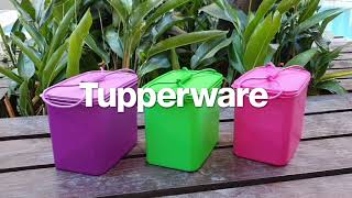 Introducing The Tupperware Pak A Lot | Tupperware