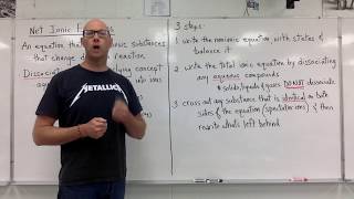 Net Ionic Equations
