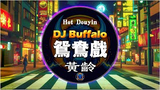 黃齡 - 鴛鴦戲 (版本DJ Remix) “DJ Buffalo”『不負天長不負地久 你我白首』【Lyrics Video】