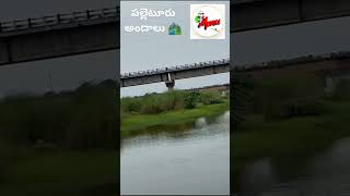 #పల్లెటూరు అందాలు🖼️🏞️  #naturelovers  #naturesounds  #naturebeauty  #natureshorts