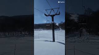 Shigakogen Japan 志賀高原 スキー 2025🗻🎿⛄