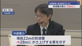 静岡・浜岡原発　新たに想定された津波の高さを考慮し防波壁のかさあげ検討　海抜２８メートルに