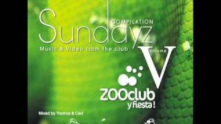 Zooclub Sundayz 5 ( Bag Raiders - Shooting Stars )