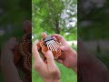 Turtle Thumb Piano Kalimba (Sound Demo)