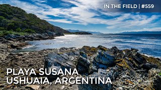 Playa Susana, Ushuaia, Argentina - In The Field #559