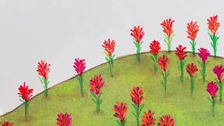 The Legend of the Indian Paintbrush (Widescreen)