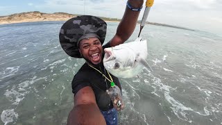 Epic Fishing Adventure on the Causeway Bridge!