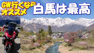 2025年GWオススメ【白馬は最高】長野県白馬村絶景ツーリング「野平の一本桜」「大出公園」#絶景スポット