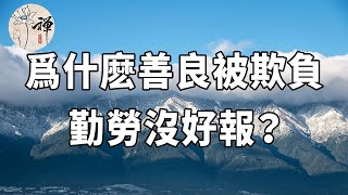 佛禪：善良被欺負，勤勞沒好報？這個道理，希望你能夠早日明白