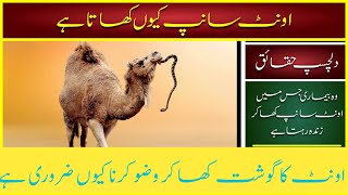 Why camel eat snakes?اونٹ سانپ کیوں کھاتا ہے؟ surprising scientific facts about camel.Hafiz Abid