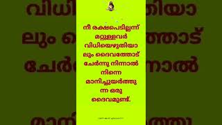 മറ്റുള്ളവരുടെ വിധിയല്ല ദൈവത്തിന്റെ ദയയാണ് പ്രധാനം