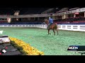 Freedom Hall set for World's Championship Horse Show