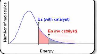 The Boltzmann Distribution