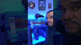 The Hanna Salinity Tester is the TRUTH! #saltwateraquarium #hannasalinity