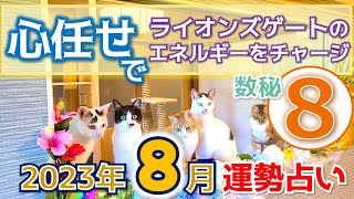 【数秘⑧】2023年8月運勢ライオンズゲート「心任せで」エネルギーチャージ