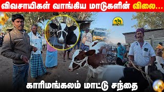 காரிமங்கலம் மாட்டு சந்தையில் என்ன விலைக்கு விவசாயிகள் மாடு வாங்குறாங்கனு பார்க்கலாமா? #cowvideos