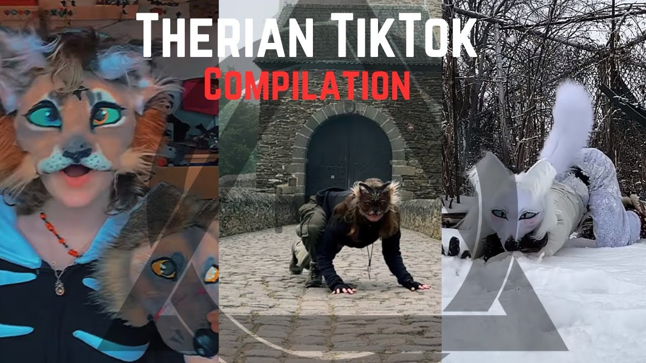 Therian Tiktok Compilation Youtube