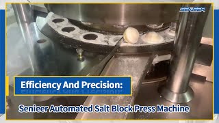 Efficiency And Precision: Senieer Automated Salt Block Press Machine