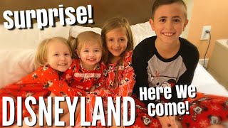OUR EPIC SURPRISE FAMILY TRIP TO DISNEYLAND!! / How'd We Keep This Secret From Them for Two Months!?