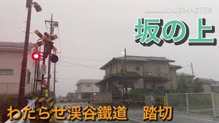 【音量注意】わたらせ渓谷鐵道　運動公園–大間々　踏切