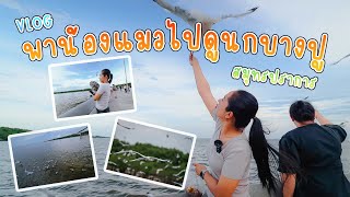 พาน้องแมวไปดูนกนางนวลที่สถานตากอากาศบางปู | VLOG