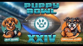 TLC Rescue's Official Puppy Bowl (ft. Adoptable Puppies!)