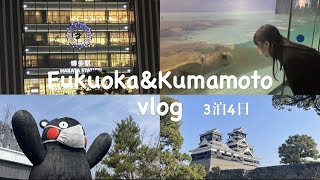 Vlog |福岡、熊本旅行(3泊4日),海ノ中道海浜公園,食べ歩き(馬刺し,あか牛etc),阿蘇山,【日韓カップル,한일커플】