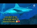 Last Part of my SEA AQUARIUM ADVENTURE SINGAPORE 🥰 || Lady Annj Diary #7