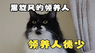 猫德学院回访记-黑旋风的领养人，特别的爱给特别的你