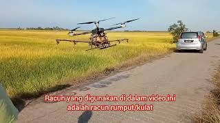 Meracun Sawah Guna Drone. Mantap Beb... 30 Minit Siap 3 Ekar...