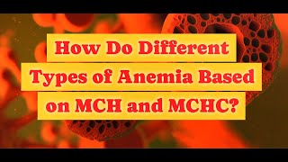 How Do Different Types of Anemia based on MCH and MCHC?