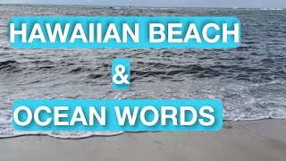 LH#33 Hawaiian Beach \u0026 Ocean Words